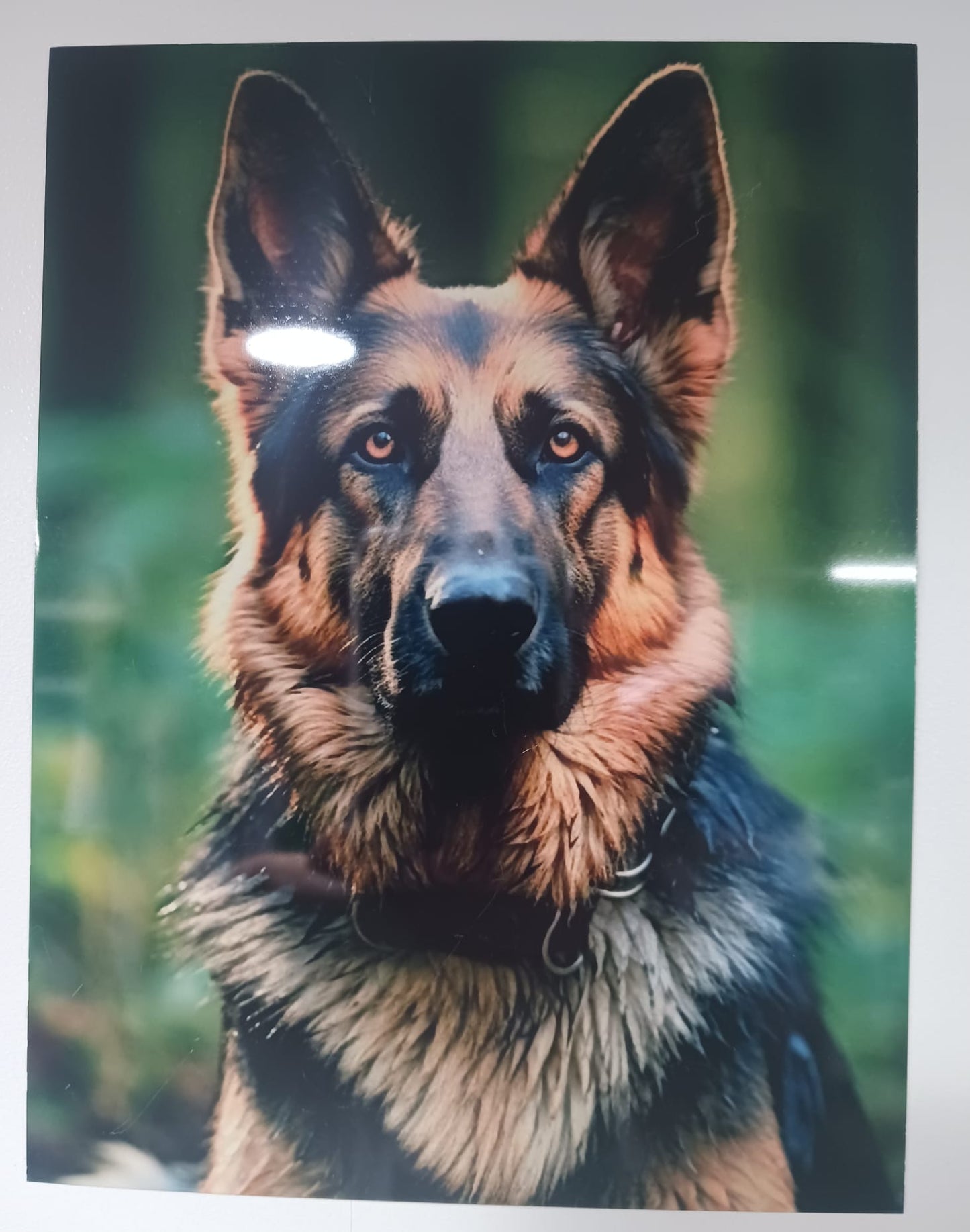Aluminium High Gloss Photo/sign Plate